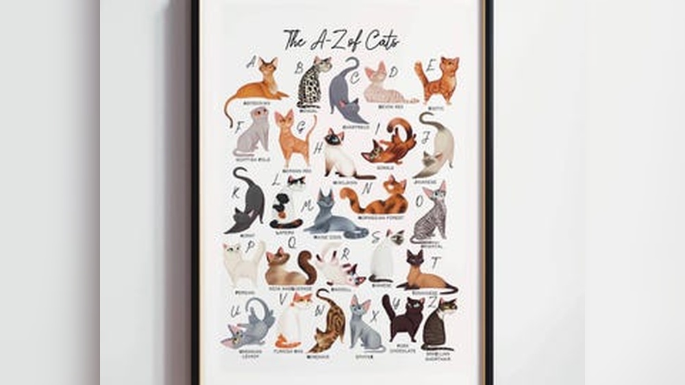 A to Z Cat Breeds: Ultimate Guide to Every Feline Friend