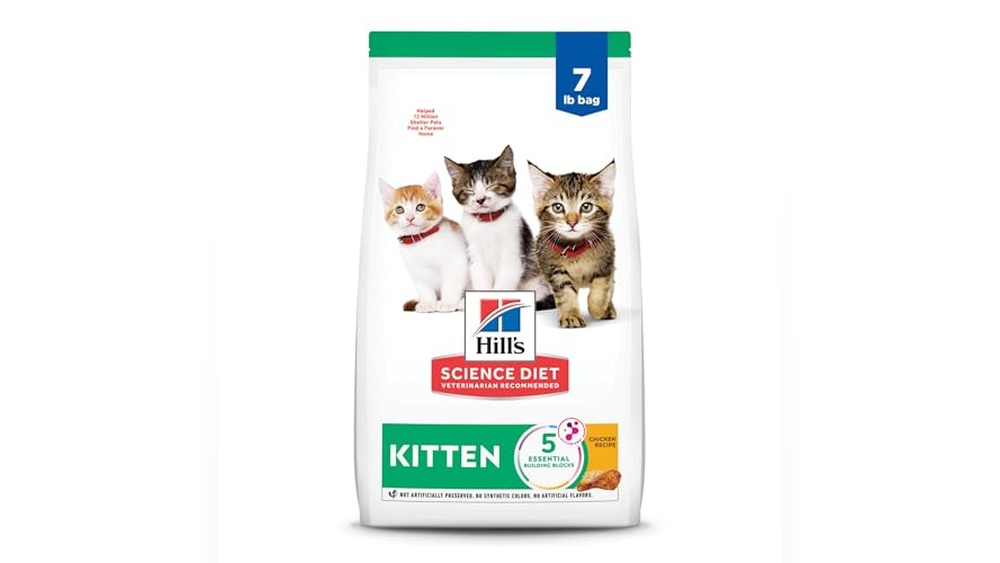 Allintitle: Best Cat Food for Gassy Kitten to Soothe Tummy Troubles