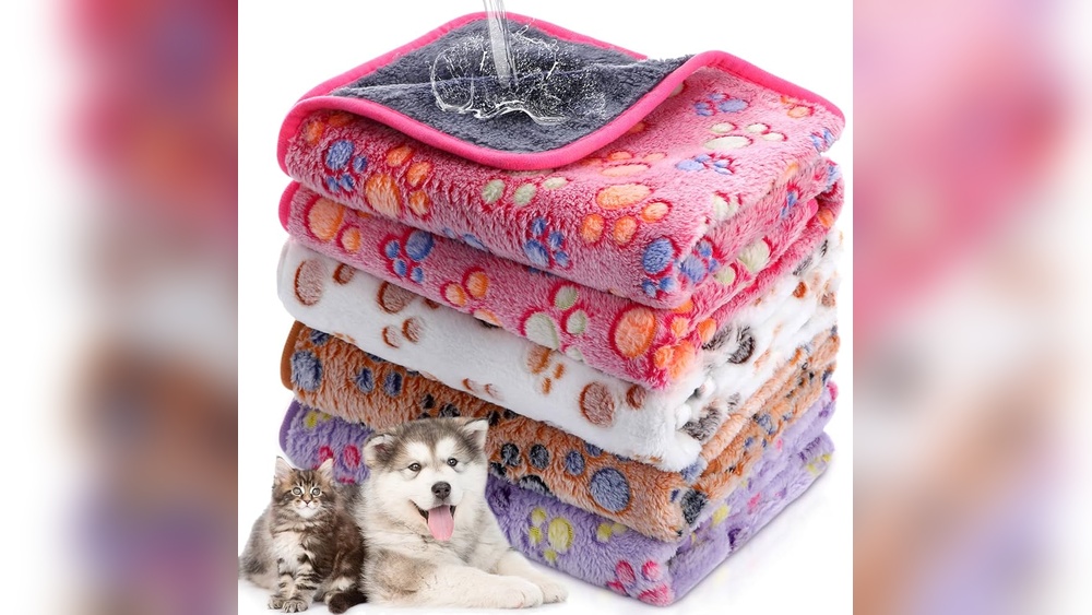 Are Siberian Cats Good With Potty Training: Expert Insights Revealed