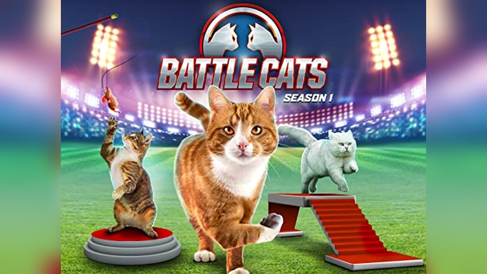 Battle Cats Best Special Cats: Top Collectible Plushies and Rare Heroes