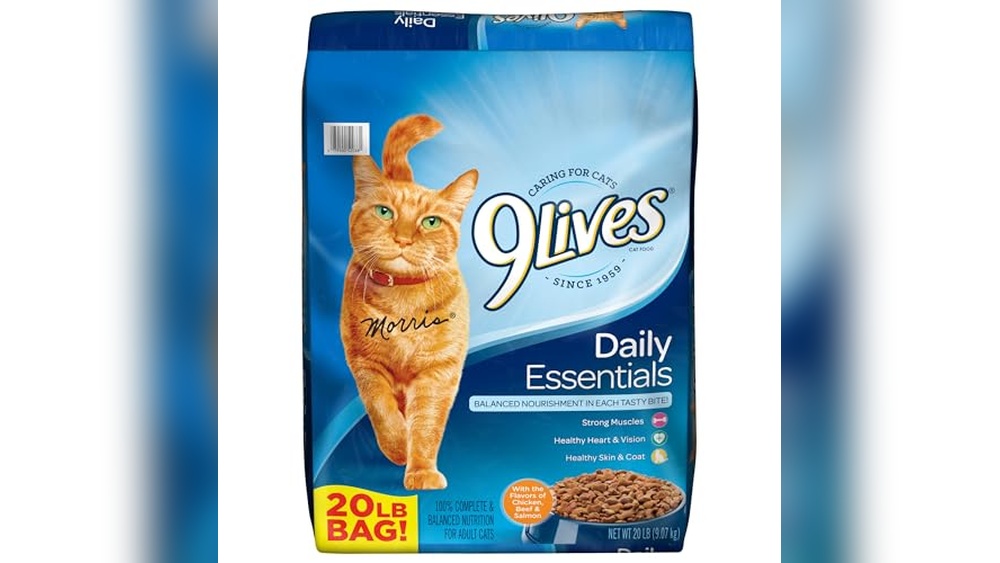 Best Affordable Dry Cat Food Reddit Picks for Healthy, Happy Cats
