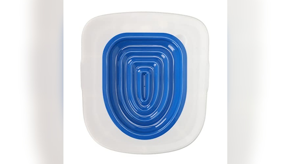 Best Age to Adopt a Cat