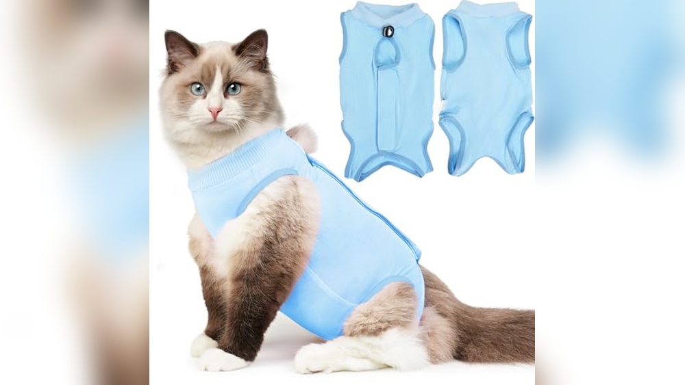 Best Age to Get Male Cat Neutered for Optimal Recovery Success