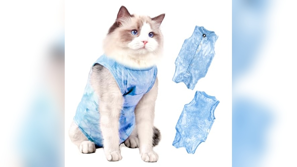 Best Age to Spay a Cat: Tips for Smooth Surgery Recovery and Care