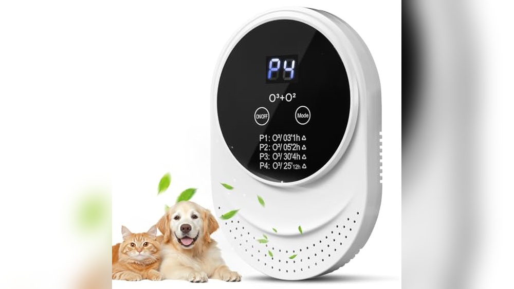 Best Air Purifier for Cat Litter: Top Odor Eliminators Reviewed