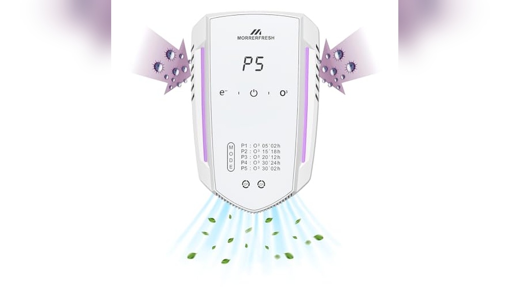 Best Air Purifier for Cat Pee Smell: Top Odor Eliminators Reviewed