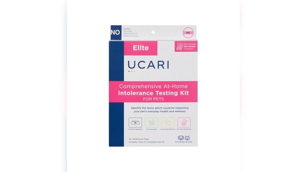 Best Allergy Test for Cats: Accurate, Painless Home Sensitivity Kits Reviewed