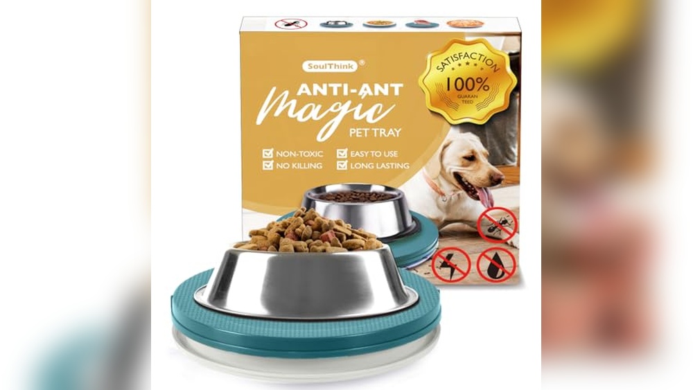 Best Ant Proof Cat Bowl to Keep Your Pet&rsquo;s Food Pest-Free