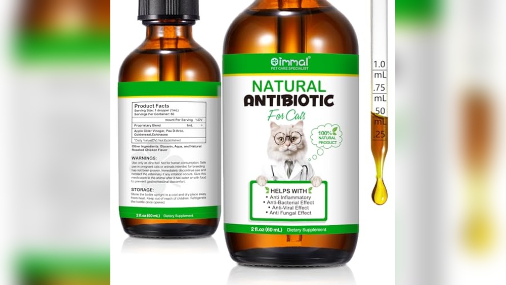 Best Anti Inflammatory for Cats: Top Natural Supplements for Relief