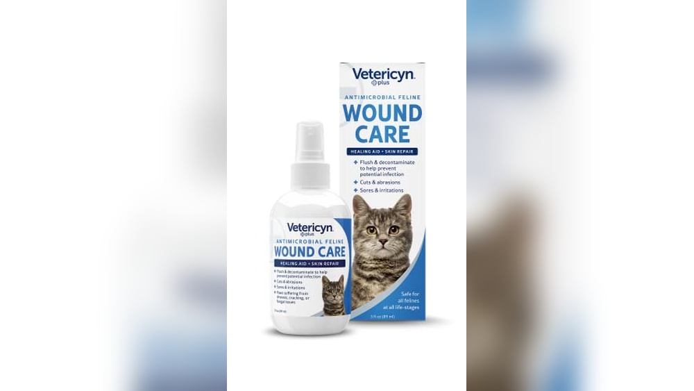 Best Antibiotic for Cat Wound: Top Healing Sprays and Ointments Reviewed