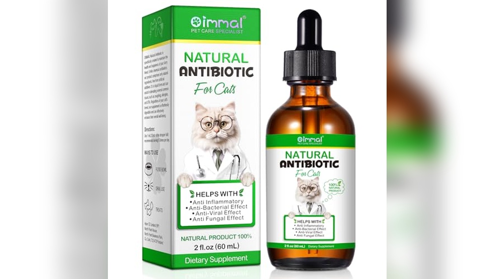 Best Antibiotic for Mastitis in Cats: Top Natural Supplements Reviewed