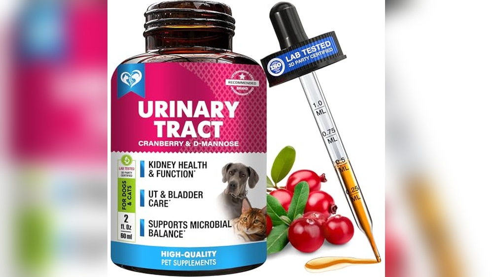 Best Antibiotic for Uri in Cats