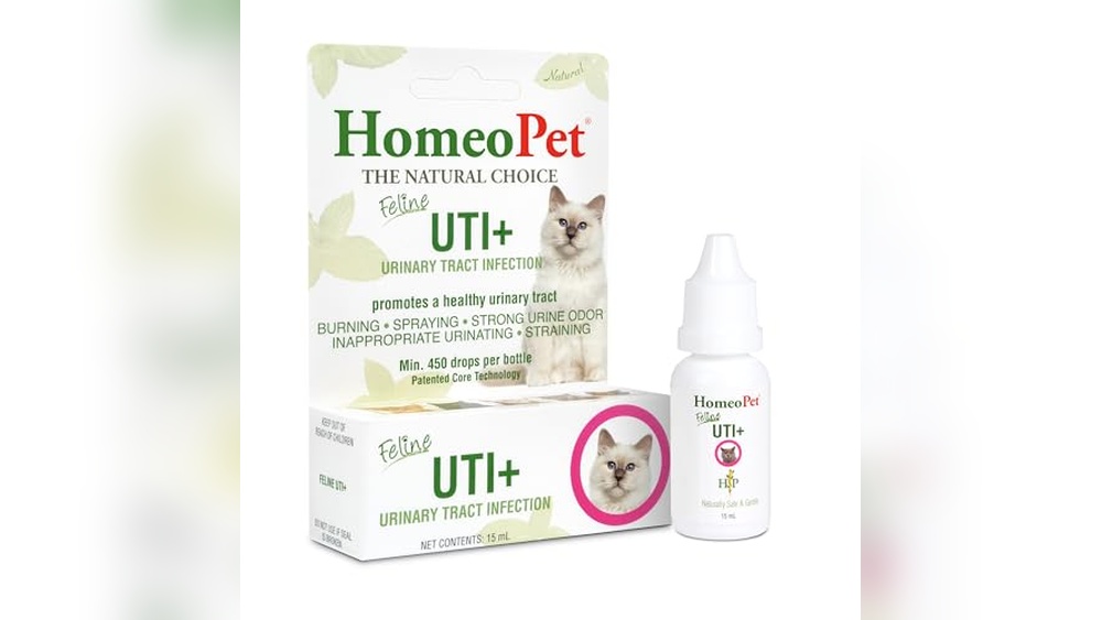 Best Antibiotic for Uti in Cats: Top Natural Supplements Reviewed