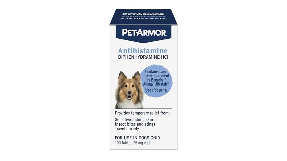 Best Antihistamine for Cat Allergies: Top Relief Options Reviewed