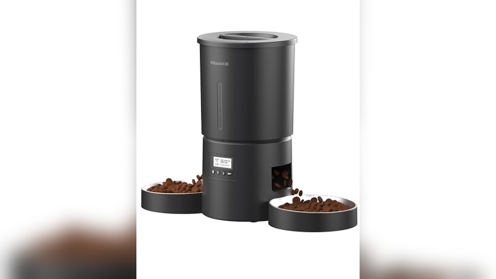 Best Auto Feeder for 2 Cats: Top Dual Bowl Automatic Feeders Reviewed