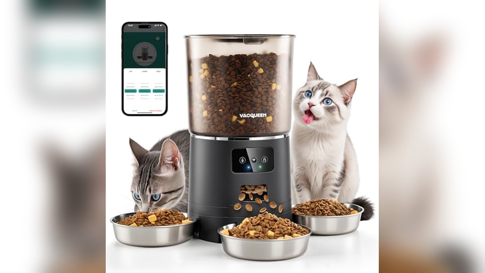 Best Automatic Cat Feeder for Multiple Cats: Top Reliable Options Reviewed