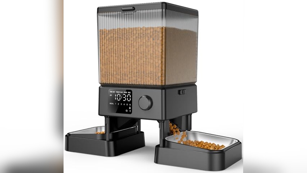 Best Automatic Cat Feeder for Two Cats: Top Dual Bowl Dispensers Reviewed