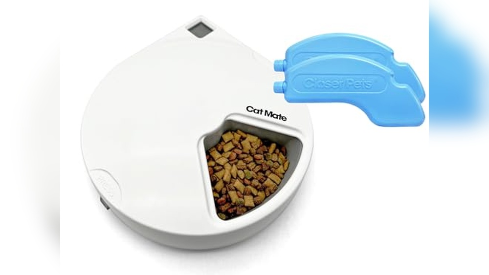 Best Automatic Wet Cat Food Feeder