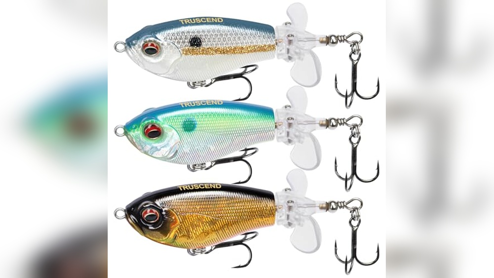 Best Bait for Cat Fish