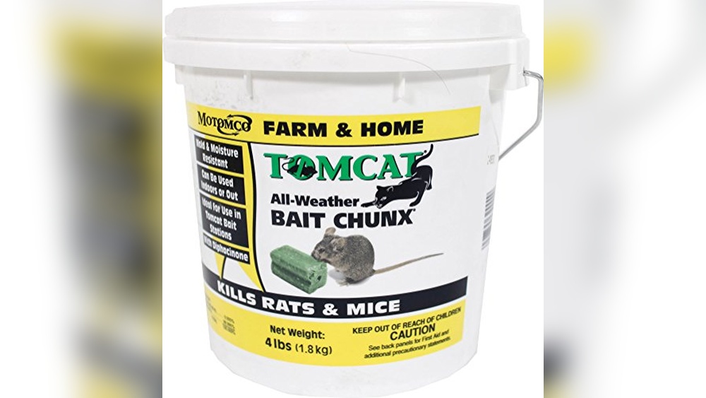 Best Bait for Cat Trap: Top Effective Choices for Humane Catching