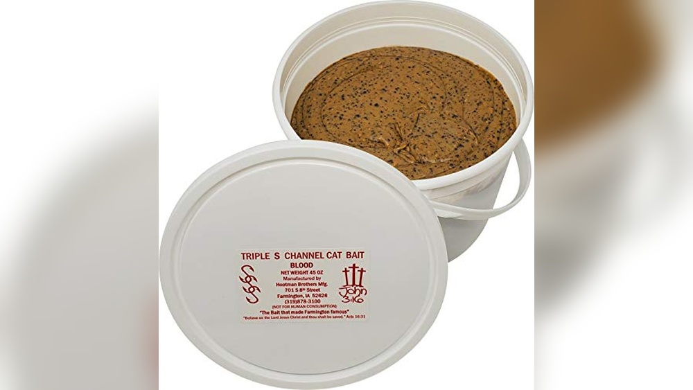 Best Bait for Channel Cat: Top Picks for Irresistible Catfish Catching