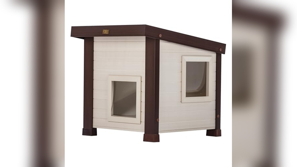 Best Bed for Outdoor Cat: Durable, Heated, and Weatherproof Choices