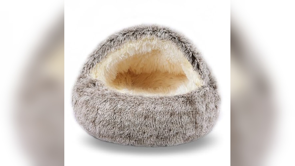 Best Bed for Sphynx Cat: Cozy, Calming, and Washable Cat Caves