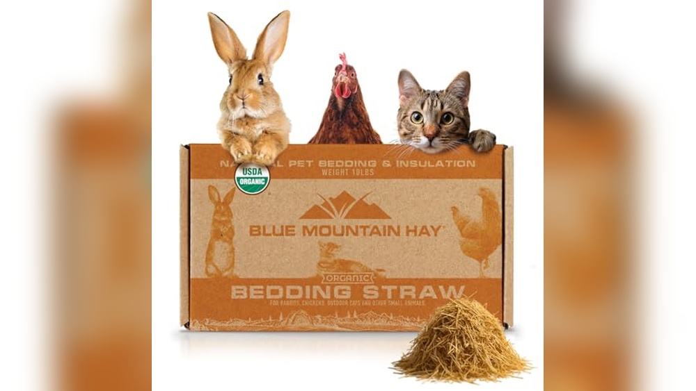 Best Bedding for Feral Cats: Top Natural and Self-Warming Options