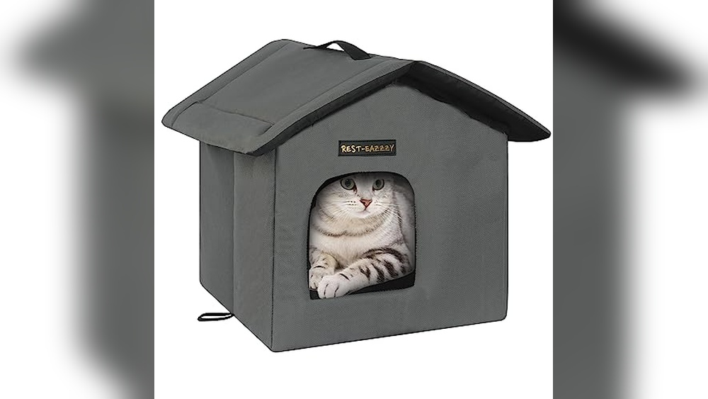 Best Bedding for Outdoor Cats in Winter: Top Warm Shelters Reviewed