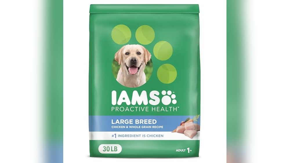 Best Big Dogs for Cats: Top Large Breed Dog Foods for Healthy Pets