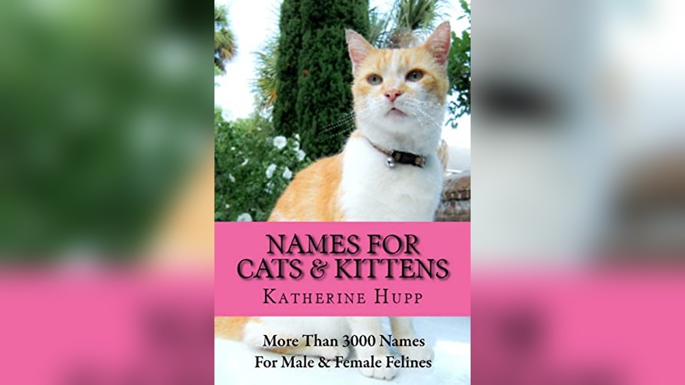 Best Black Cat Names Male