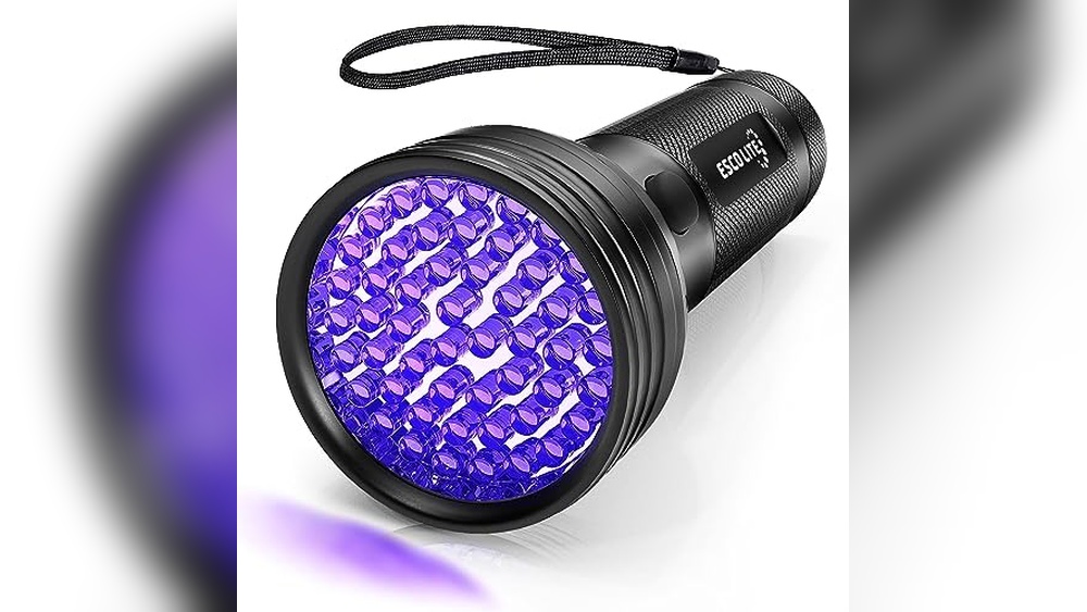 Best Blacklight for Cat Urine: Top UV Lights to Spot Stains Easily