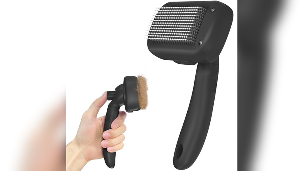 Best Brush for Cats Shedding