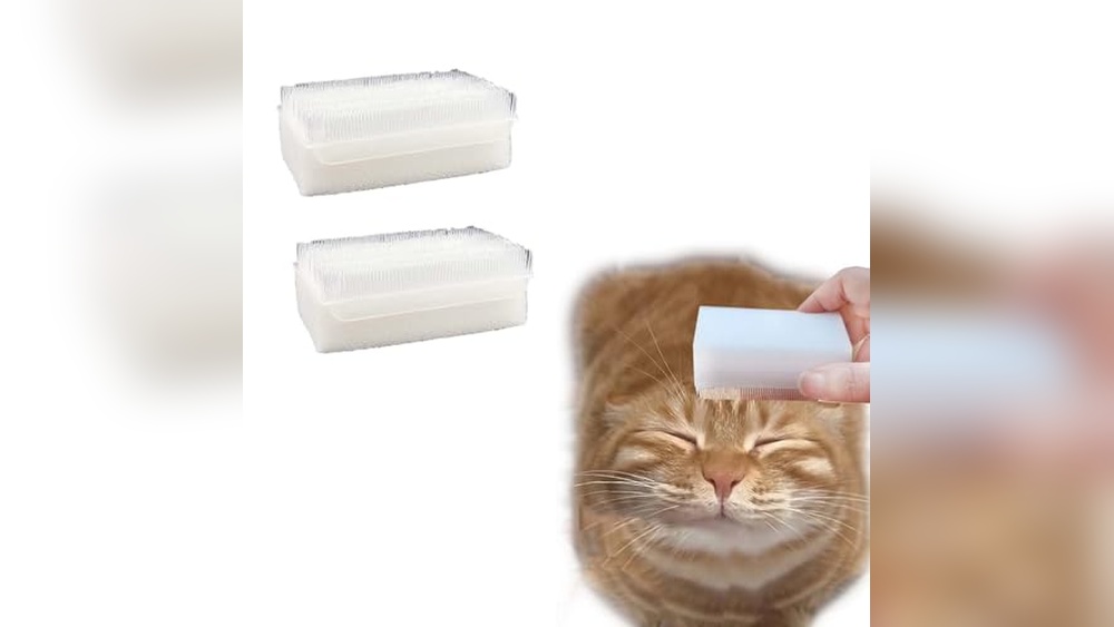 Best Brush for Cats That Hate to Be Brushed