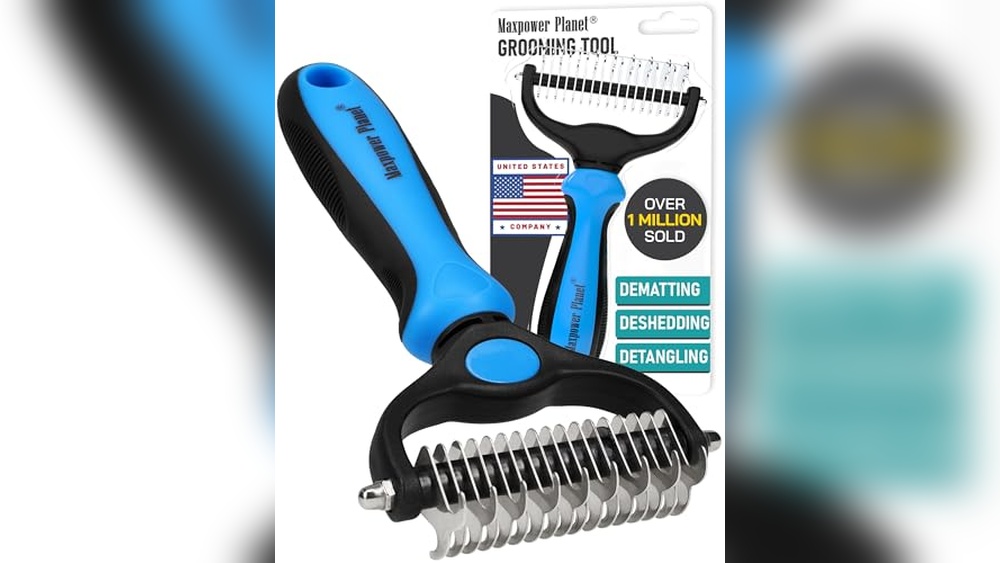 Best Brush for Double Coated Cats