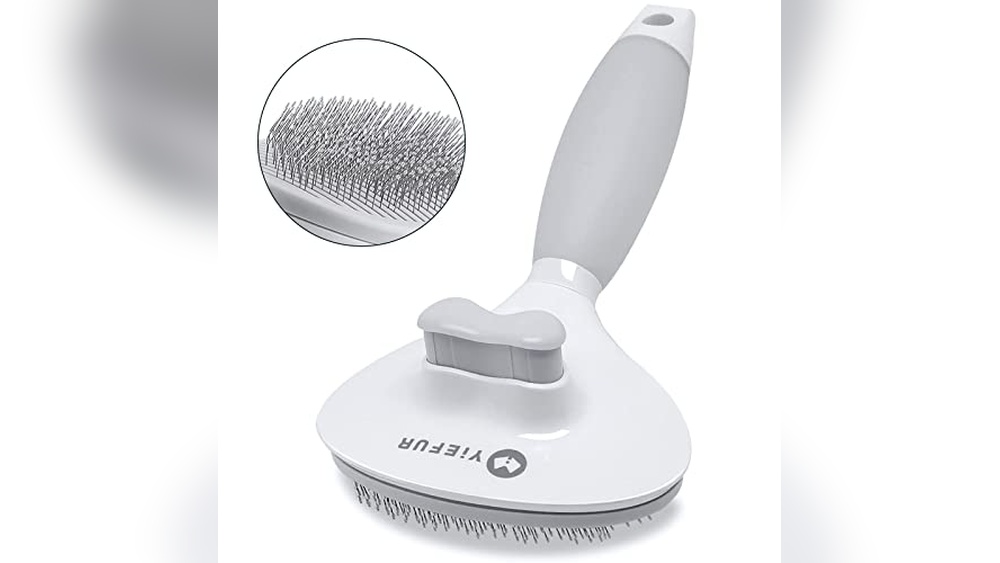 Best Brush for Long Haired Cat