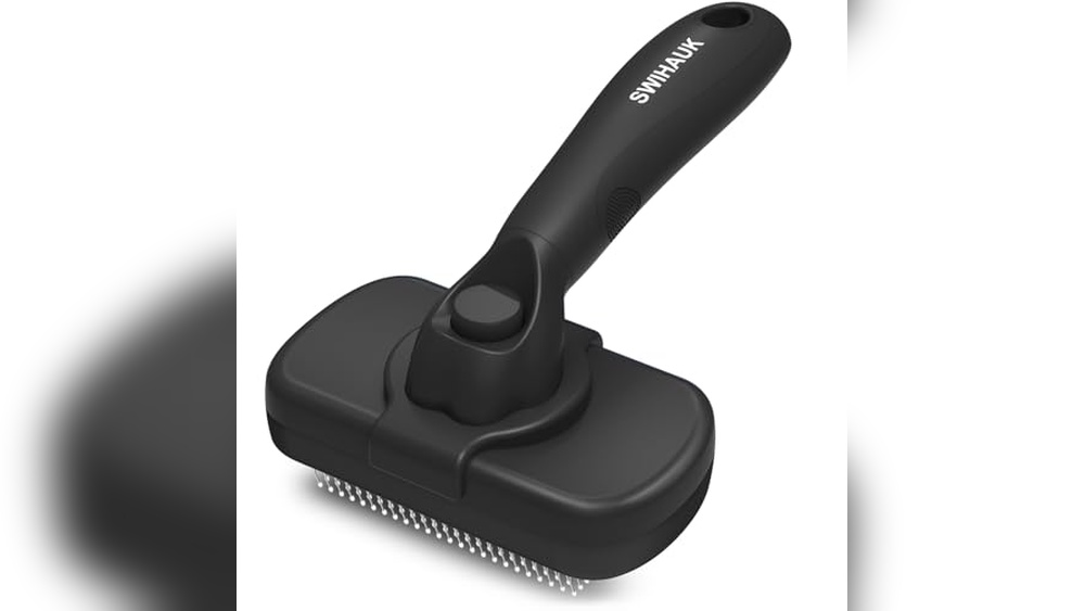 Best Brush for Maine Coon Cat: Top Picks for Shedding and Grooming