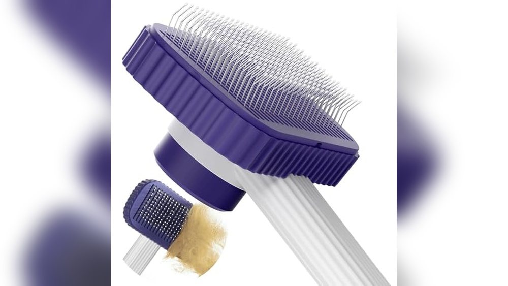 Best Brush for Maine Coon Cats