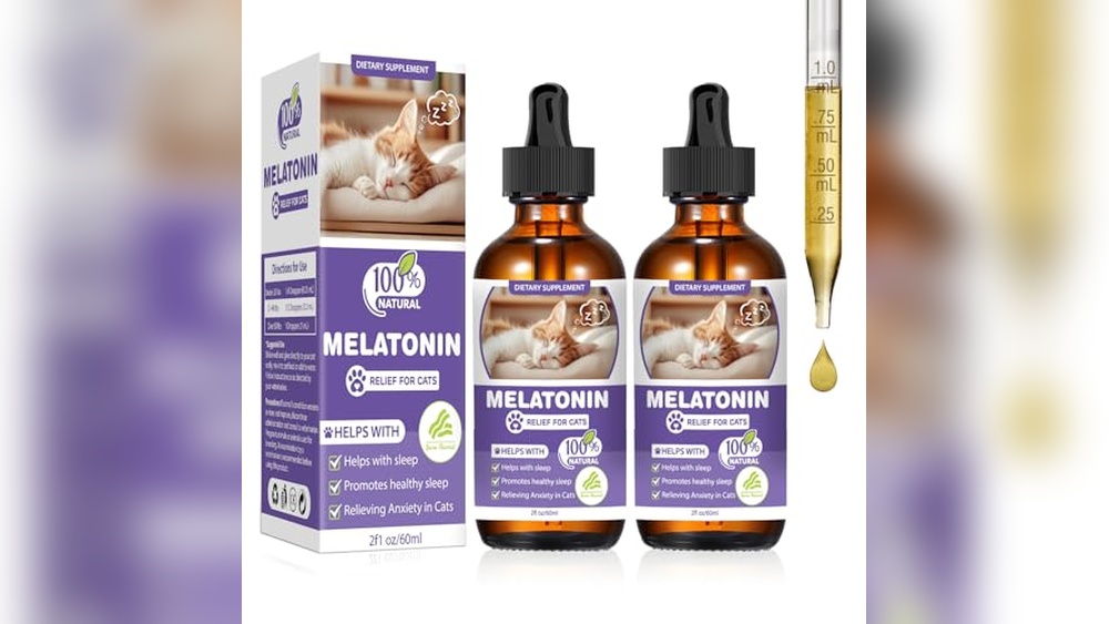 Best Calming Aid for Cats for Travel: Top Anxiety Relief Solutions