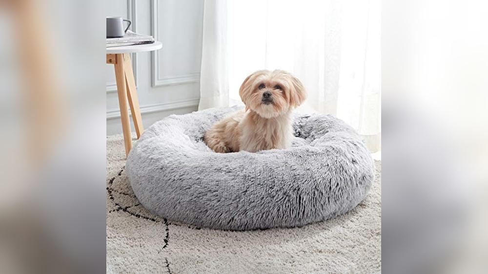 Best Calming Bed for Cats: Ultimate Comfort and Anxiety Relief Guide