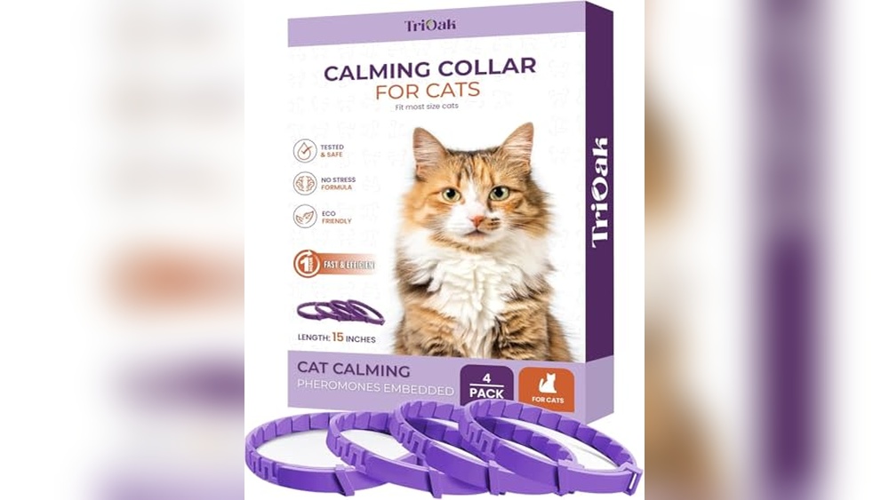 Best Calming Collar for Cats: Top Pheromone Collars for Stress Relief