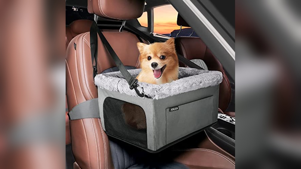Best Car Seat for Cats: Top Safe and Cozy Booster Seats Reviewed