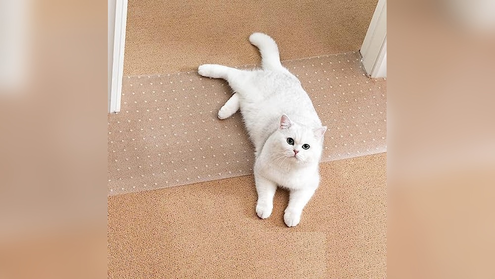 Best Carpet for Cats Who Scratch: Top Protective Mats for Furniture