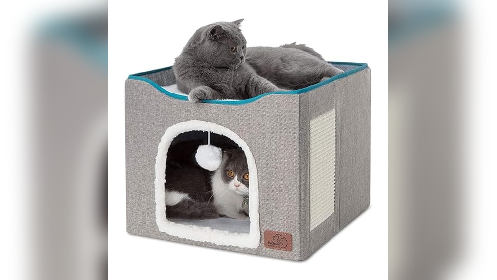 Best Cat Bed for Large Cats
