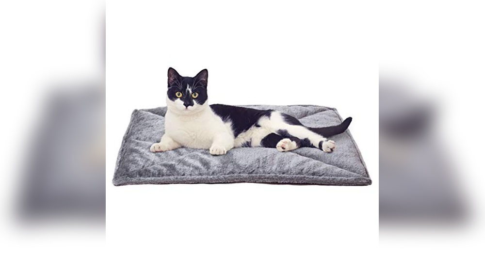 Best Cat Beds for Older Cats: Cozy, Supportive, and Easy-to-Clean Choices