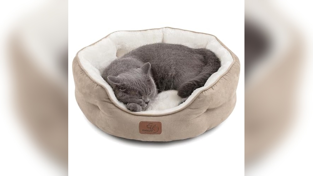 Best Cat Beds for Senior Cats: Cozy, Supportive, and Easy-to-Clean Picks