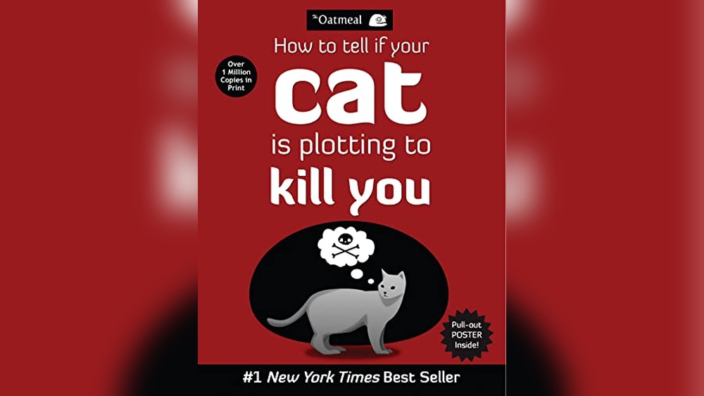 Best Cat Boarding Near Me: Top Spots for Your Feline&rsquo;s Comfort