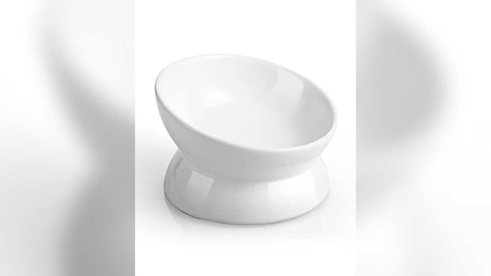 Best Cat Bowl for Wet Food