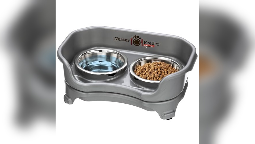 Best Cat Bowls for Messy Eaters: Top No-Spill and Elevated Picks