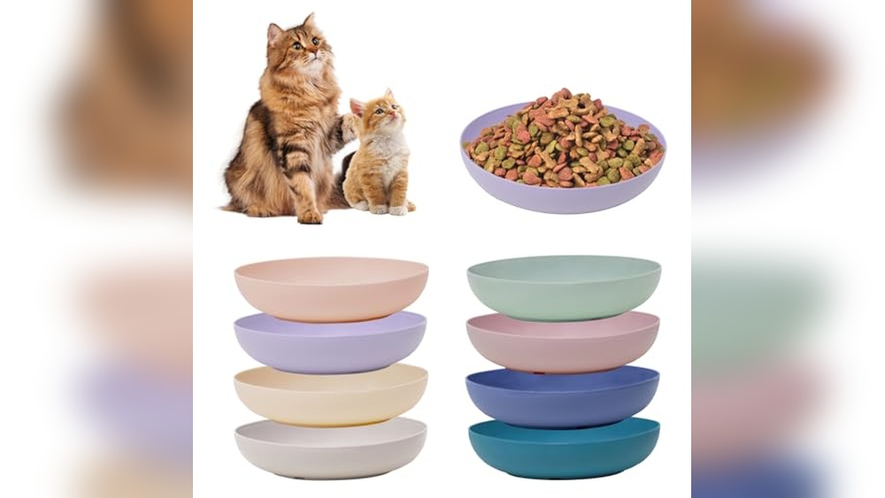 Best Cat Bowls for Wet Food